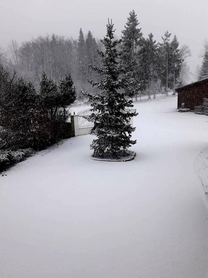 Ferienwohnung Im Westerwald Mengerskirchen Exteriér fotografie